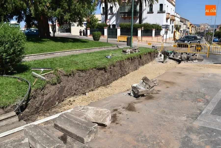 Foto 3 - En marcha el recorte de uno de los jardines de la Glorieta del &Aacute;rbol Gordo