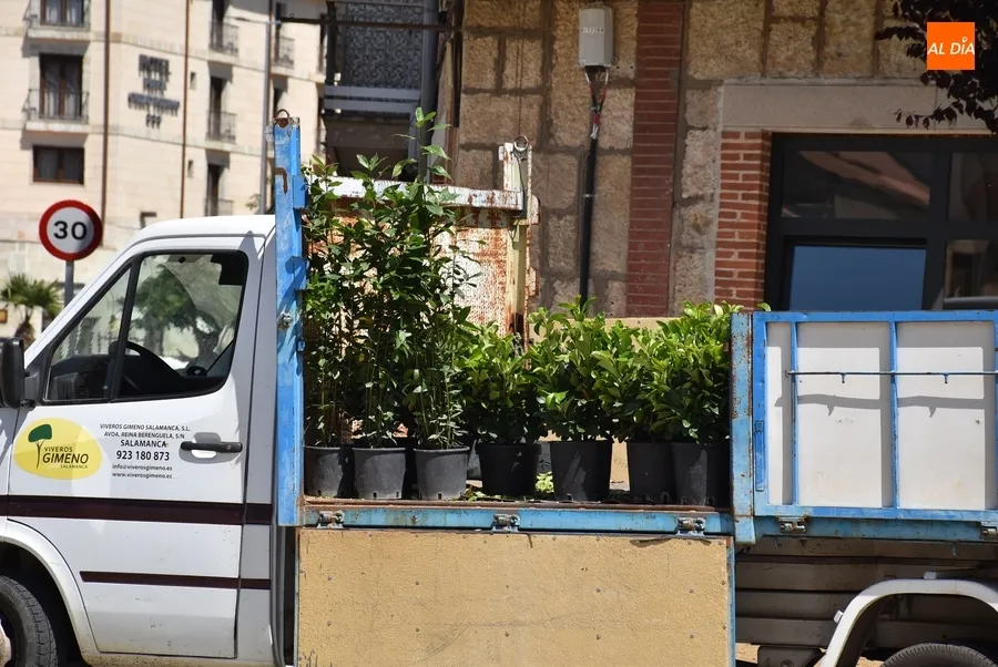 Foto 2 - La Plazuela de Herradores recibe su surtido verde