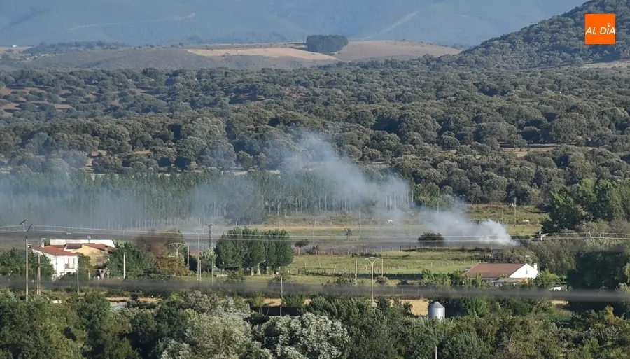 Foto 3 - Registrados al menos 3 incendios forestales durante la tarde del viernes en la comarca mirobrigense