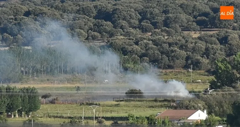 Foto 2 - Registrados al menos 3 incendios forestales durante la tarde del viernes en la comarca mirobrigense