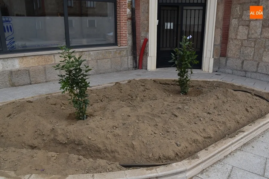 Foto 3 - La Plazuela de Herradores recibe su surtido verde