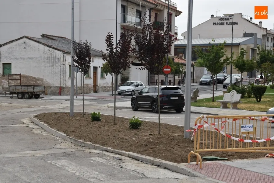 Foto 4 - La Plazuela de Herradores recibe su surtido verde
