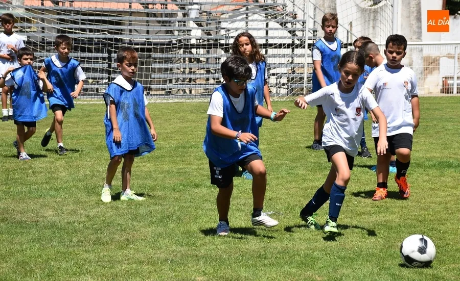 Foto 10 - El 8&ordm; Mir&oacute;briga Campus roza con 90 inscritos su r&eacute;cord hist&oacute;rico de participaci&oacute;n