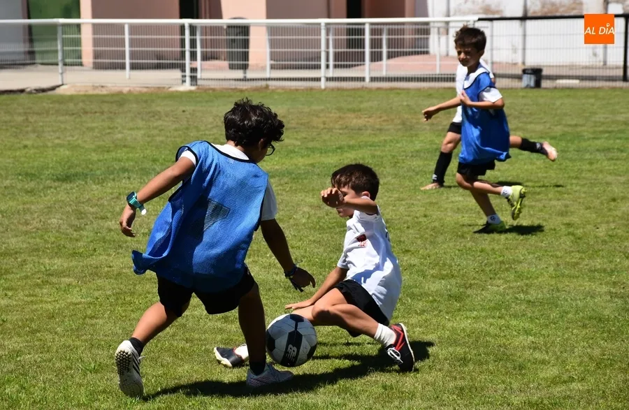 Foto 11 - El 8&ordm; Mir&oacute;briga Campus roza con 90 inscritos su r&eacute;cord hist&oacute;rico de participaci&oacute;n