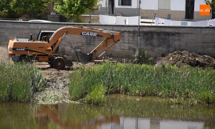 Foto 4 - El Ayuntamiento limpia una vez m&aacute;s la zona del muro de contenci&oacute;n del Puente