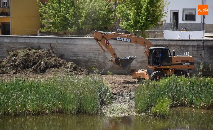 Foto 5 - El Ayuntamiento limpia una vez m&aacute;s la zona del muro de contenci&oacute;n del Puente
