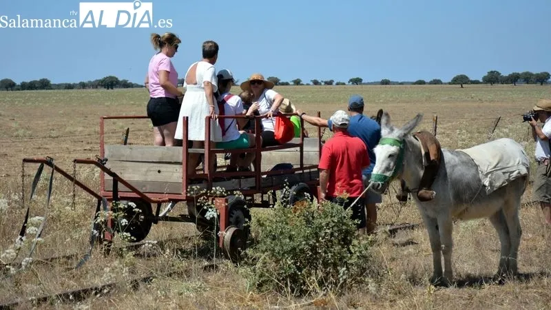 Biclonetas y otros vehículos recorrieron los raíles de la vía