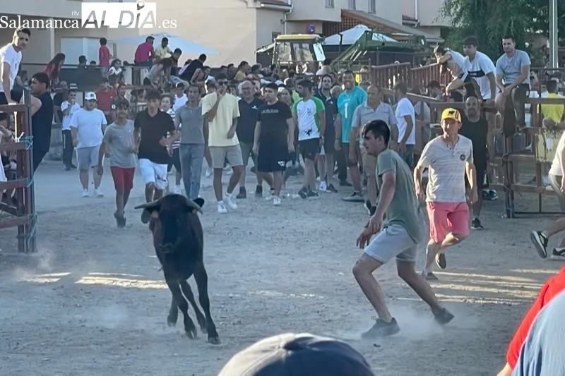 Villoruela vivía este sábado su segundo toro de cajón