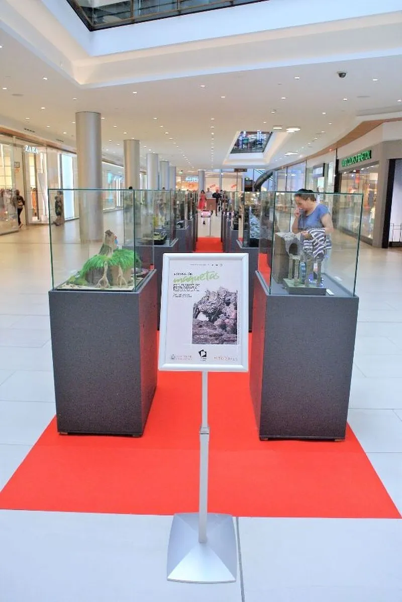 Foto 6 - El arte invade el Centro Comercial El Tormes