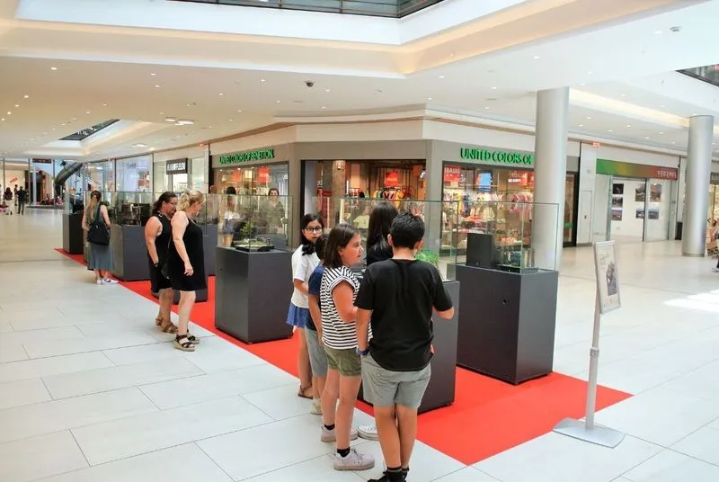 Foto 3 - El arte invade el Centro Comercial El Tormes