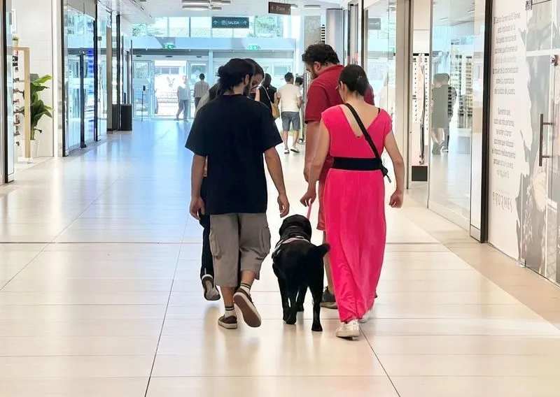 Un curso de instrucción de perros de asistencia en El Tormes