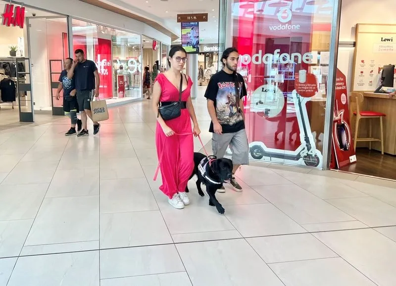 Un curso de instrucción de perros de asistencia en El Tormes
