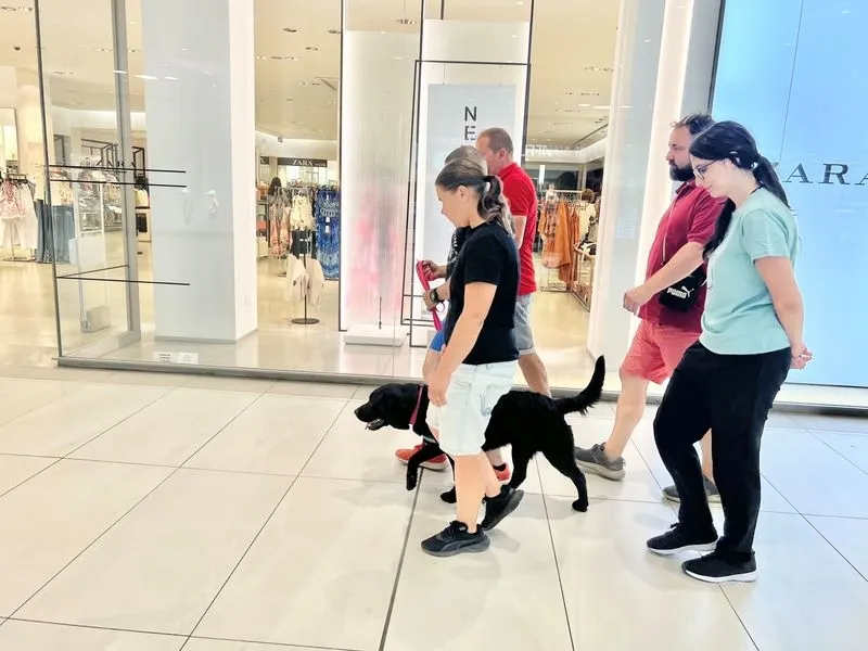 Un curso de instrucción de perros de asistencia en El Tormes