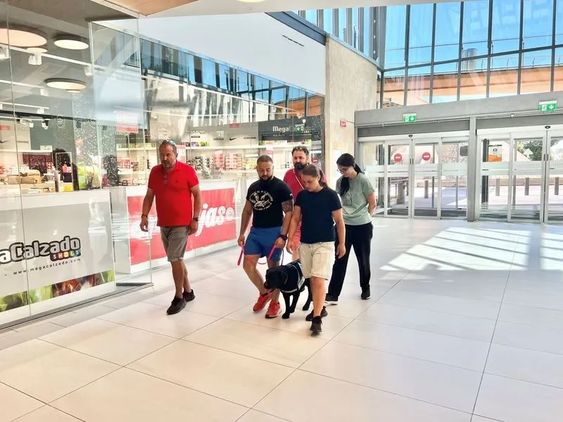 Un curso de instrucción de perros de asistencia en El Tormes