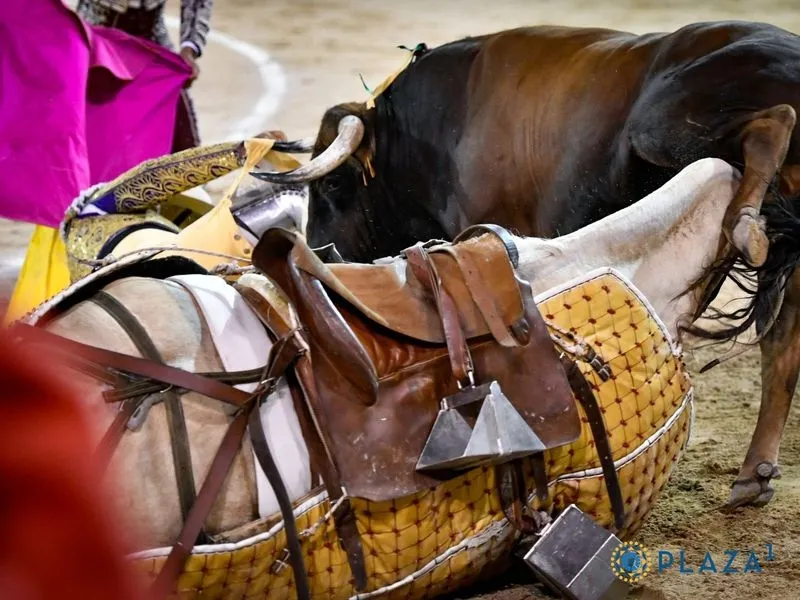 Momento de la cogida en Las Ventas al picador José Ney Zambrano | Fotos: LAS VENTAS