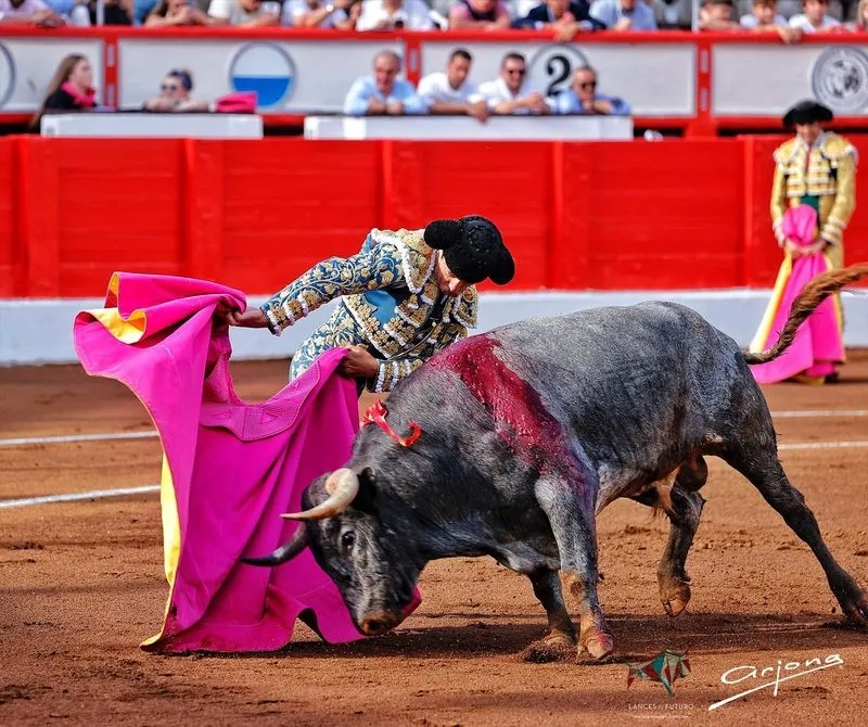 Foto 9 - L&oacute;pez Chaves, sobresaliente en su adi&oacute;s por la Puerta Grande en Santander