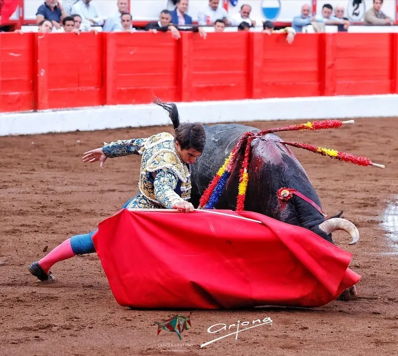 Foto 4 - L&oacute;pez Chaves, sobresaliente en su adi&oacute;s por la Puerta Grande en Santander