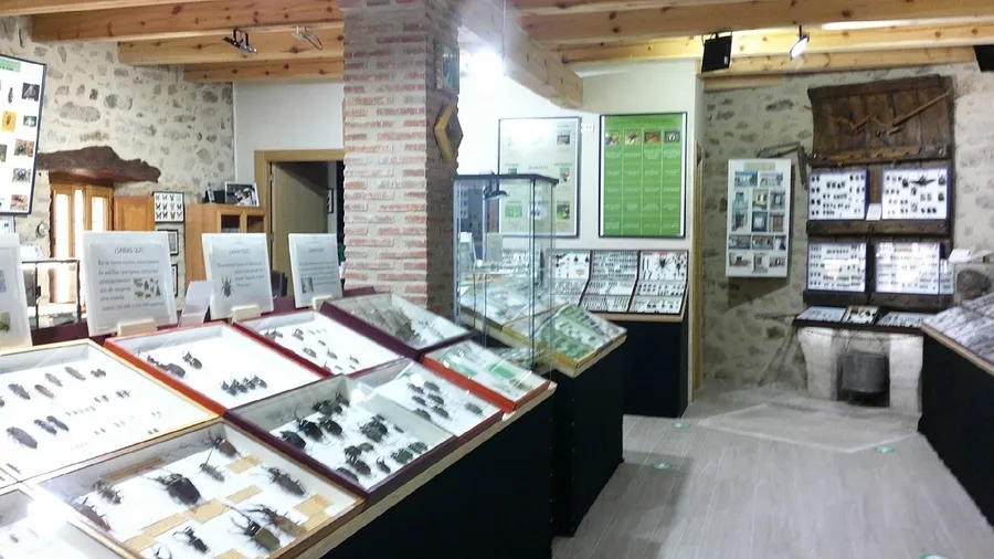 Foto 3 - Inaugurada con 11.000 ejemplares la Casa Museo de Insectos de Puebla de Azaba