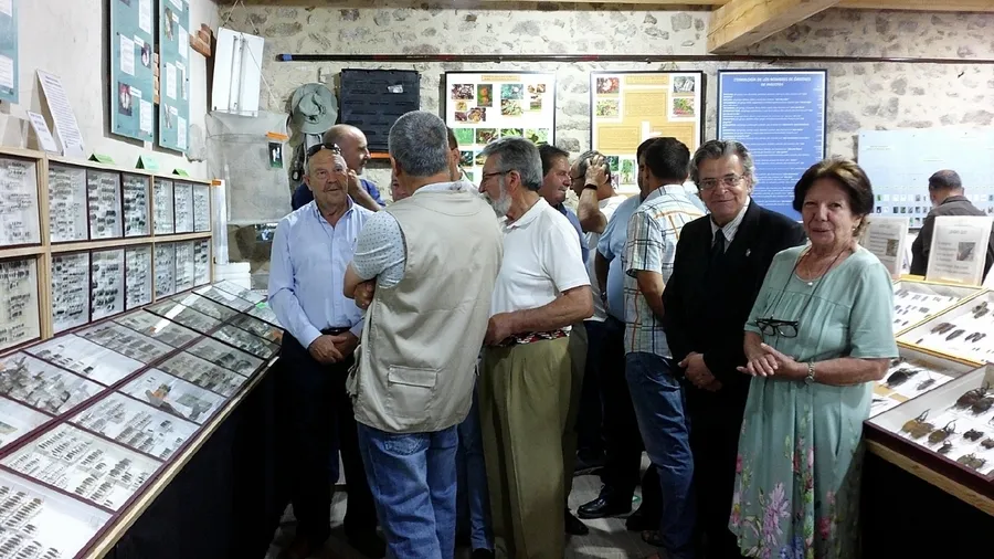 Foto 2 - Inaugurada con 11.000 ejemplares la Casa Museo de Insectos de Puebla de Azaba