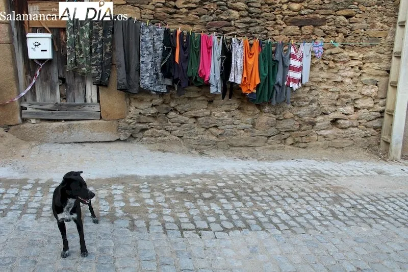 Vilarelhos (Alfândega da Fé, Portugal) | MARTÍN-GARAY