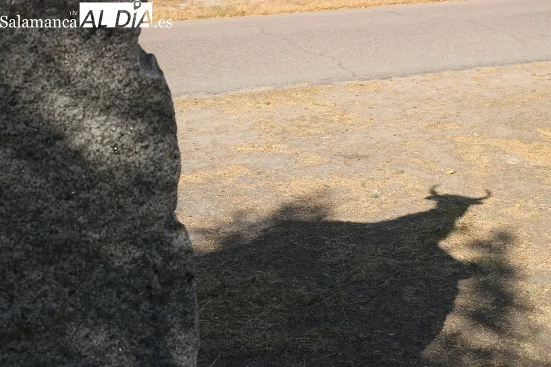 Romería al puente del 'Ran' sobre el río Uces en la fiesta conmemorativa del Torito Perdigón / CORRAL