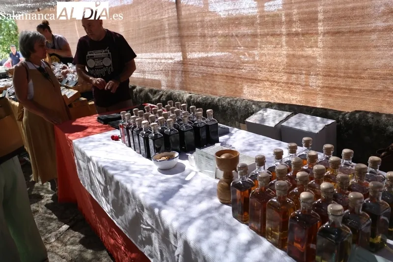 La 13ª Feria de Artesanía y Agroecología de Monleras acogía a una treintena de artesanos de distintos sectores / CORRAL 
