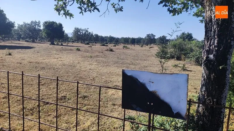 Foto 2 - La Fiscal&iacute;a pide tres a&ntilde;os de c&aacute;rcel para el exalcalde de Tenebr&oacute;n Fernando Benito