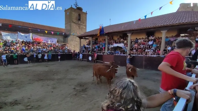 Entretenida tarde de toros en Sobradillo con Daniel Sánchez e Íñigo Norte / CORRAL