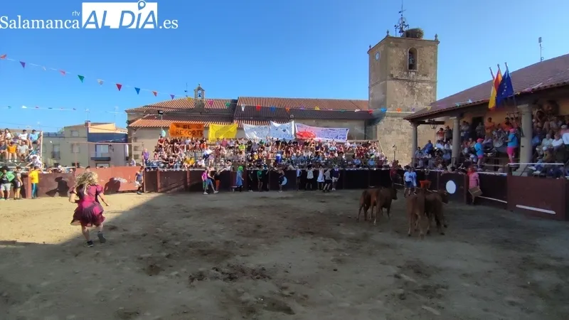 Entretenida tarde de toros en Sobradillo con Daniel Sánchez e Íñigo Norte / CORRAL