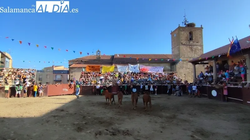 Entretenida tarde de toros en Sobradillo con Daniel Sánchez e Íñigo Norte / CORRAL