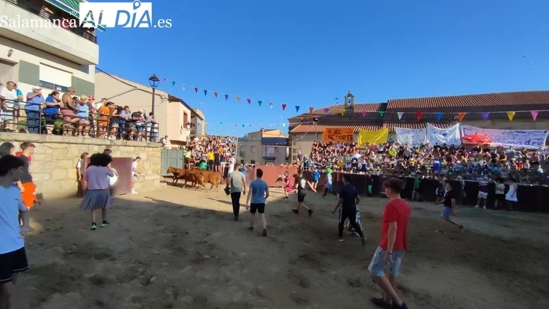 Entretenida tarde de toros en Sobradillo con Daniel Sánchez e Íñigo Norte / CORRAL