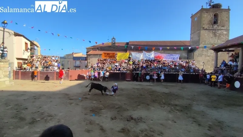 Entretenida tarde de toros en Sobradillo con Daniel Sánchez e Íñigo Norte / CORRAL