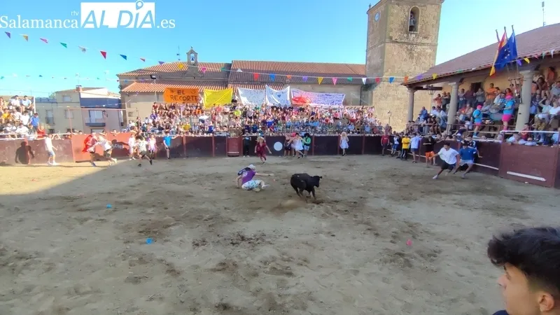Entretenida tarde de toros en Sobradillo con Daniel Sánchez e Íñigo Norte / CORRAL