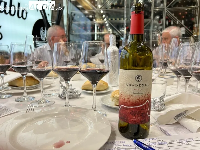 Cata de Abadengo Roble 2019, de Ribera de Pelazas D. O. Arribes / FOTOS: JAVIER BRAGADO