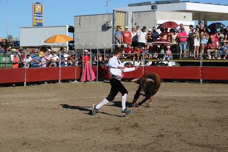 Entretenido festejo taurino en Villar de Peralonso con motivo de las fiestas de San Pedro / CORRAL