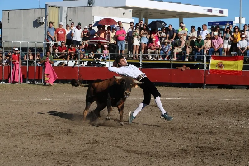 Entretenido festejo taurino en Villar de Peralonso con motivo de las fiestas de San Pedro / CORRAL