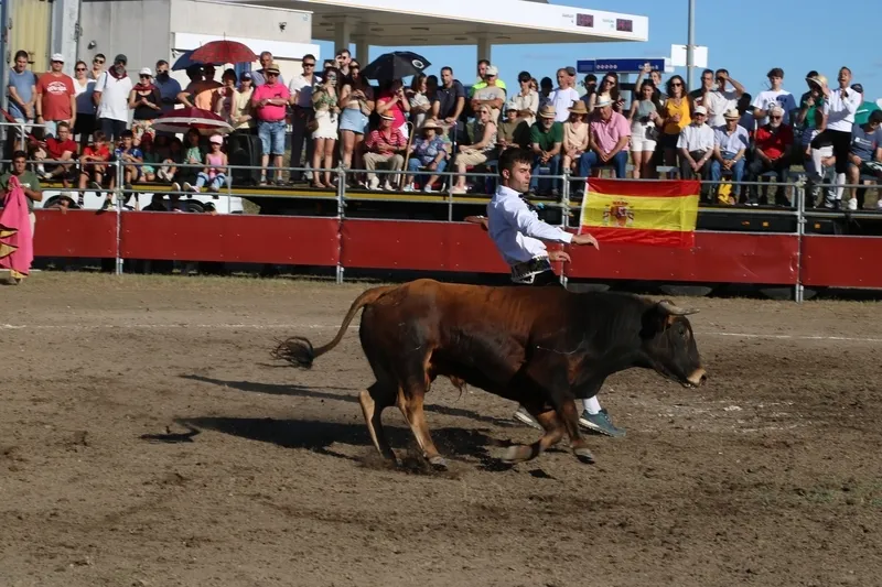 Entretenido festejo taurino en Villar de Peralonso con motivo de las fiestas de San Pedro / CORRAL