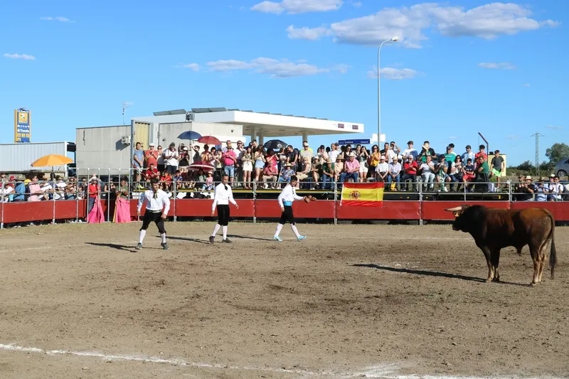 Entretenido festejo taurino en Villar de Peralonso con motivo de las fiestas de San Pedro / CORRAL
