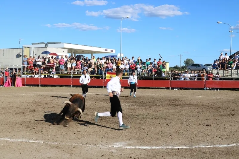 Entretenido festejo taurino en Villar de Peralonso con motivo de las fiestas de San Pedro / CORRAL