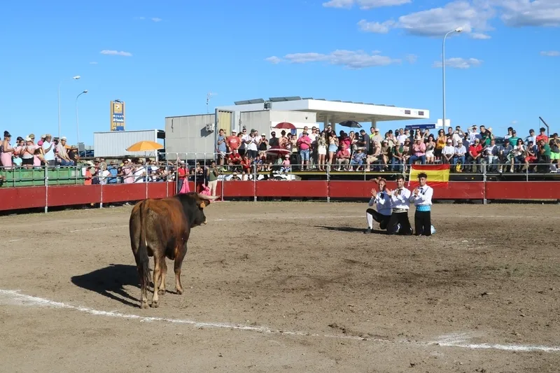 Entretenido festejo taurino en Villar de Peralonso con motivo de las fiestas de San Pedro / CORRAL