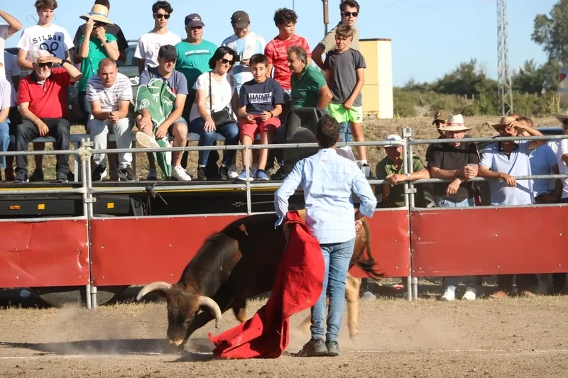 Entretenido festejo taurino en Villar de Peralonso con motivo de las fiestas de San Pedro / CORRAL