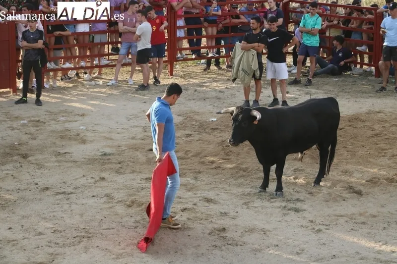 El II Toro de Cajón reunió en Boada a cientos de personas / CORRAL