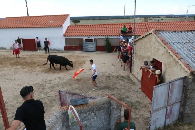 El II Toro de Cajón reunió en Boada a cientos de personas / CORRAL