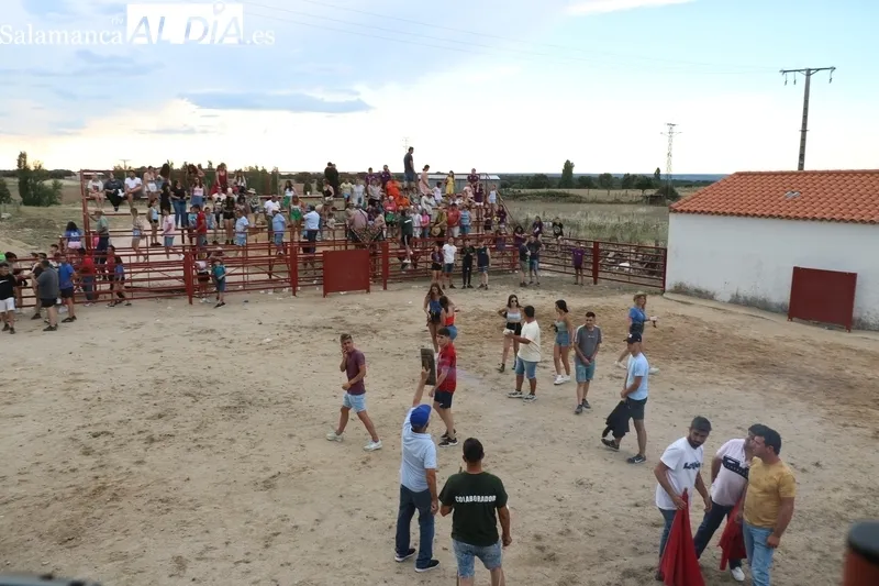 El II Toro de Cajón reunió en Boada a cientos de personas / CORRAL