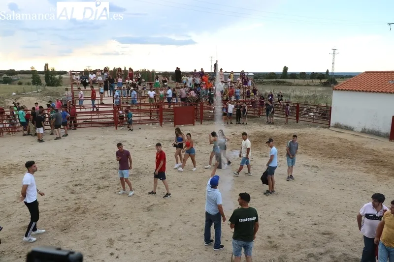 El II Toro de Cajón reunió en Boada a cientos de personas / CORRAL