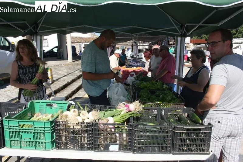 El buen tiempo y la gran variedad de productos atraía a numeroso público al mercadillo de este primer domingo de julio