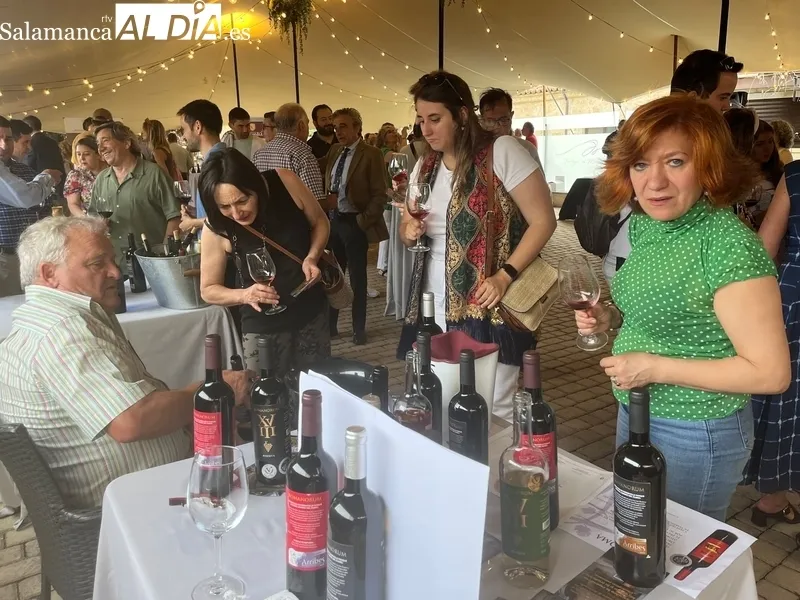 Presentación en Salamanca de la añada 2022 de la D.O. Arribes 