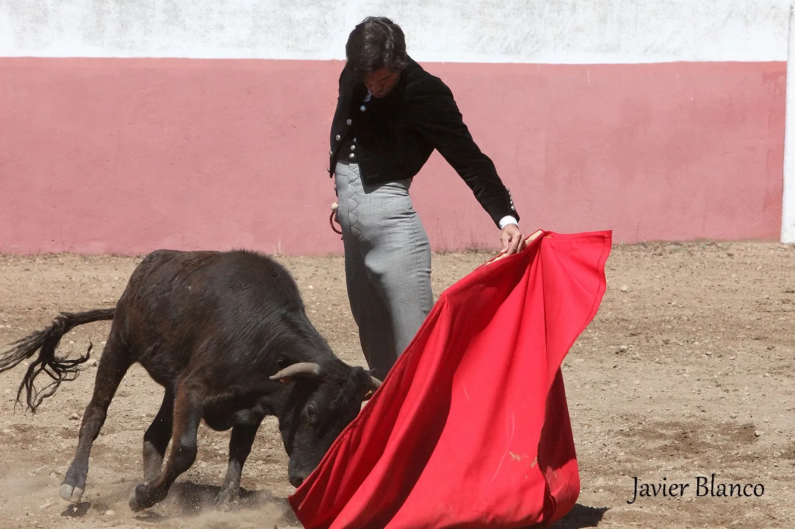 Juan del Álamo toreando este martes en el campo | Fotografías: Javier Blanco