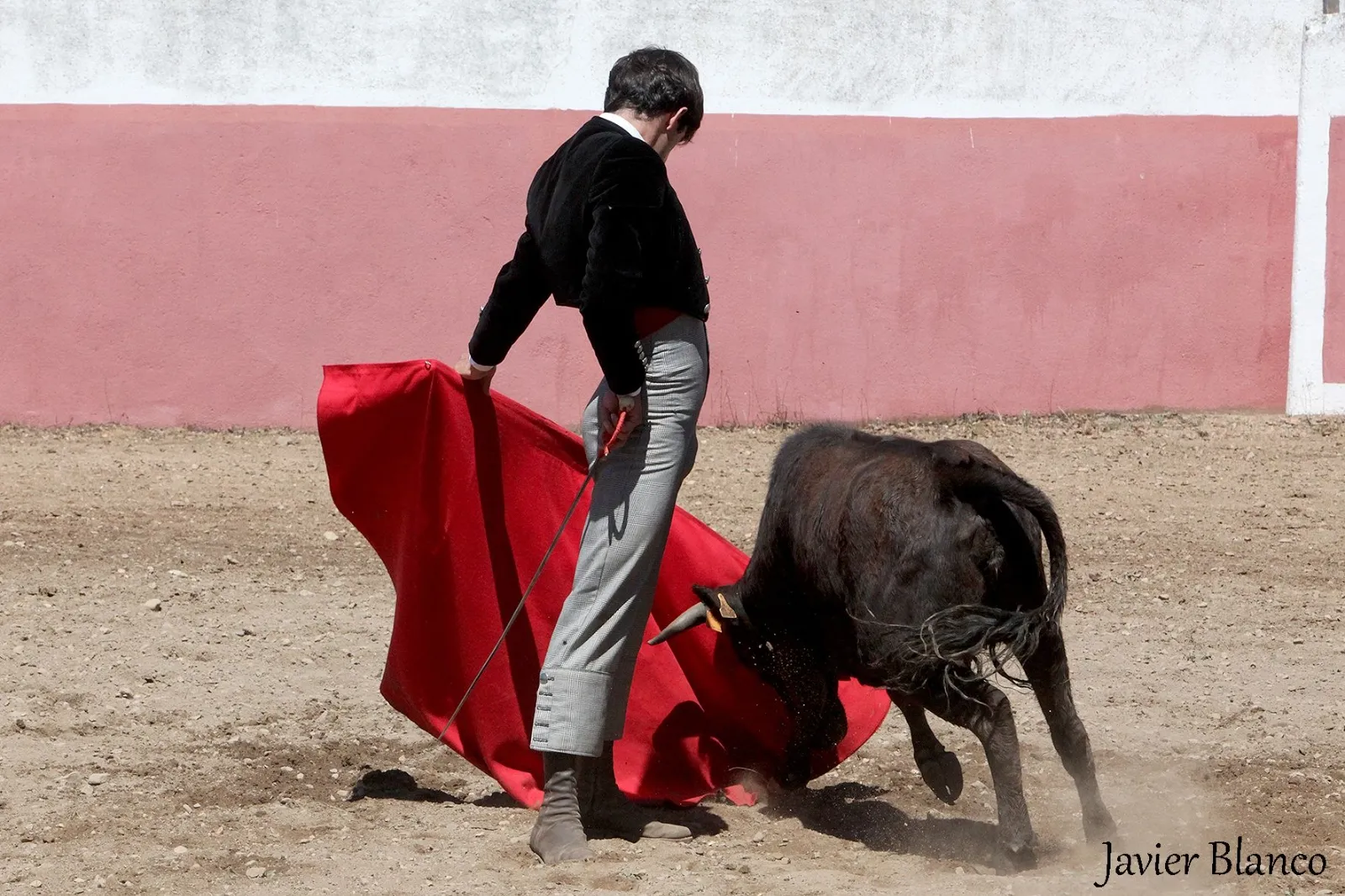 Juan del Álamo toreando este martes en el campo | Fotografías: Javier Blanco