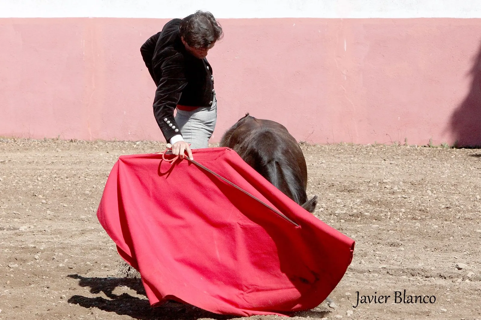 Juan del Álamo toreando este martes en el campo | Fotografías: Javier Blanco